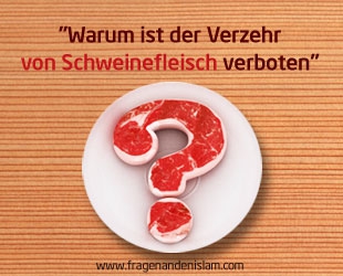 Warum ist der Verzehr von Schweinefleisch verboten?