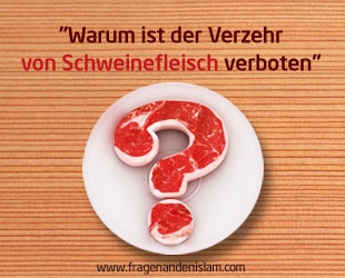 Warum ist der Verzehr von Schweinefleisch verboten? | Fragen an den islam