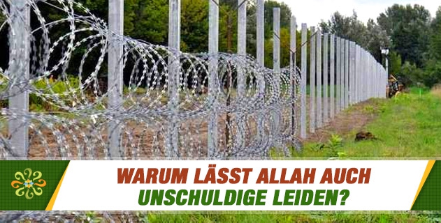 Warum lässt Allah auch Unschuldige leiden?